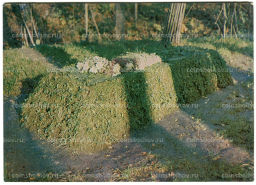 Открытка Музей-усадьба Ясная Поляна.Могила Л.Н.Толстого в лесу Старом заказе