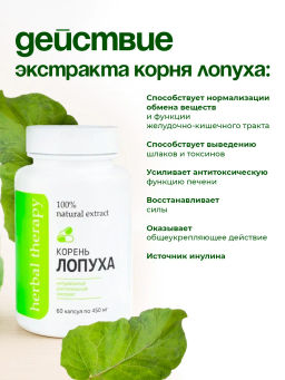 Экстракт Корня Лопуха Алфит Плюс 1737 фото 5