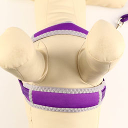 Комплект мягкая шлейка, поводок 120 х 1 см с вертлюгом, S, ОШ 26-67 см, ОГ 26-67 см, фиолетовый 71 - Пижон фото 5