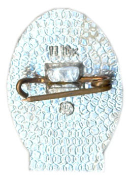 Значок А.С.Пушкин