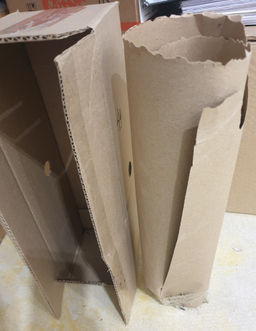 Рододендрон Фантастика