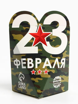 Чай подарочный 23 февраля, вкус: апельсин и корица, 50 г