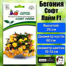 Бегония клубневидная ампельная махровая Софт Лайм - Партнер фото 2