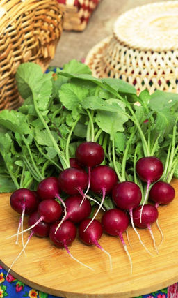 Редис МУЛАТКА УД Дружное созревание урожая! Ярко-пурпурные корнеплоды! Без горечи! Не растрескиваются!