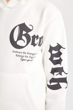 Толстая толстовка с капюшоном и принтом для мальчиков - Defacto фото 5