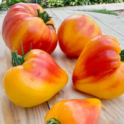 Солнечное сердце НОВИНКА 2025 года!