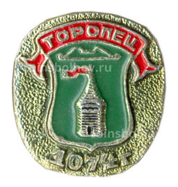 Значок Торопец
