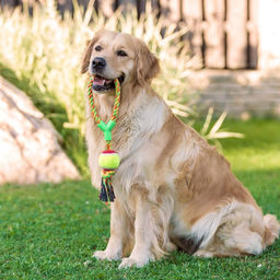 Игрушка канатная с ручкой и мячом, до 150 г, до 35 см, микс цветов - Пижон фото 6