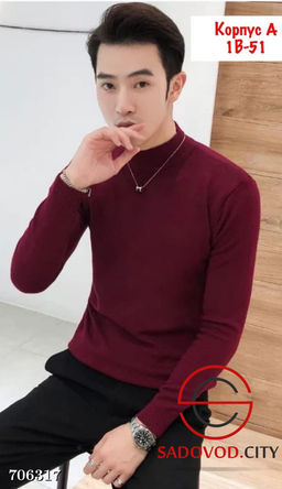 Водолазка мужская базовая