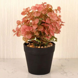 Цветочная композиция Зелень / 17051 /уп 12/108/ - Галеонтрейд фото 4