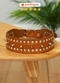 Ошейник для собак, с шипами, 4,5 см, экокожа, цвет в ассортименте PS192
