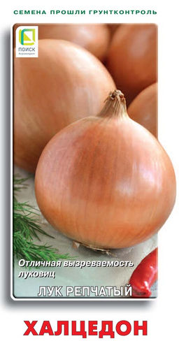 Лук репчатый Халцедон (ЦВ) 1гр. - Поиск фото 2