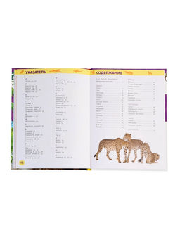 Цена за 2 шт. Детская энциклопедия «Дикие животные», 48 стр.