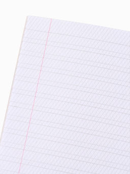 Цена за 20 шт. Тетрадь А5, 12 листов в косую линейку «Коты», МИКС