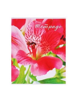 Набор тетрадей 48 листов в клетку, Calligrata «Цветы», 5 штук