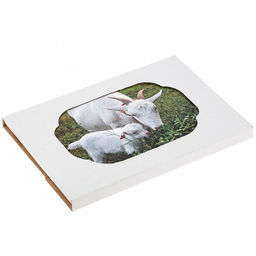 Подставка под горячее (панно) "Ферма" 14х22см h1см, керамика, фотопечать с глазурью, подложка пробковое дерево, в упаковке (Китай)