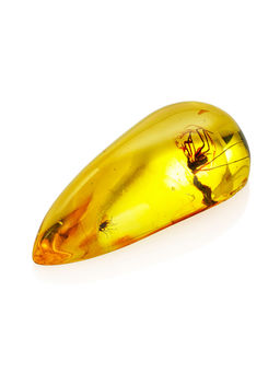 Натуральный прозрачный янтарь лимонного цвета с инклюзами