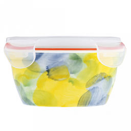 Акварель Салатник-контейнер фарфоровый 400мл, д13х6,2см, круглый, с деколью, отводка, пластмассовая крышка, герметичная, с клипсами, с силиконовым уплотнителем (Китай) - Домашняя мода фото 4