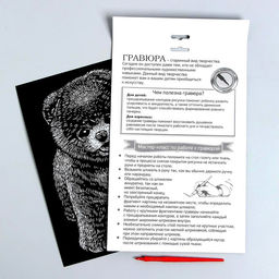 Гравюра на подложке Шпиц с металлическим эффектом серебро А4 - Школа талантов фото 3