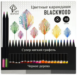 Набор цветных карандашей АРТформат Blackwood 48 цв. трехгранные, деревянные, супермягкий г...