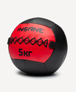 Медбол INSANE IN24-WB100 5 кг, красный  фото 3