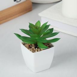 Цветочная композиция Кактус / WER-19 /уп 12/192/ микс - Галеонтрейд фото 4