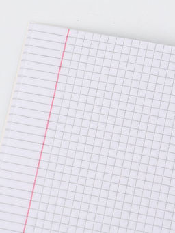 Цена за 20 шт. Тетрадь А5, 48 листов в клетку "Звери"