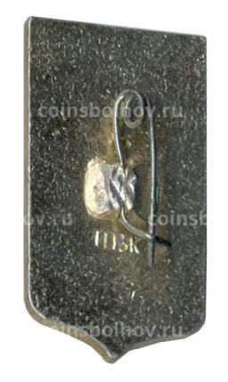 Значок Пенза