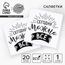Цена за 2 шт. Салфетки бумажные Сегодня можно всё, однослойные, 24?24 см, набор 20 шт.