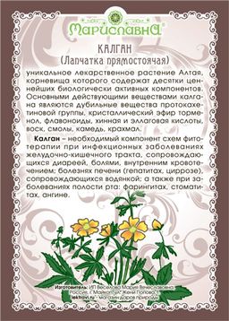 Калган (лапчатка прямостоячая), (корень)