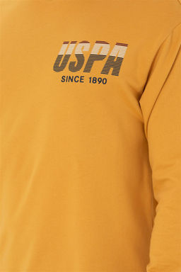 U. S. Polo Assn / Мужской горчичный свитшот - U.s. polo assn фото 7
