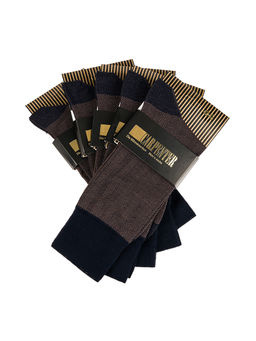 Носки мужские (в упаковке 5 пар) CARPENTER Cr-19/02 сине-коричневый