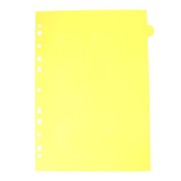 Цена за 2 шт. Разделитель листов A4 (245×305 мм), цветовой, 12 листов, «deVENTE. Pastel», полипропилен 140 мкм, индивидуальная упаковка