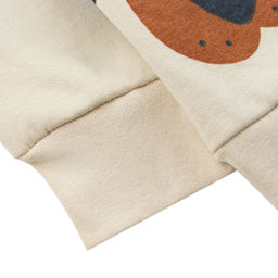 Джемпер футер 2х нитка начёс 1027310101