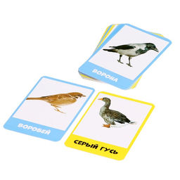 Развивающий набор Перелётные и зимующие птицы - Iq-zabiaka фото 3