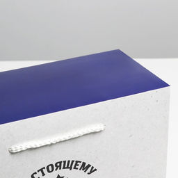 Пакет—коробка, подарочная упаковка, «Настоящему мужчине», 28×20×13 см
