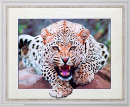 Картина 5D 40х50 001 / ZR8843B-339350/