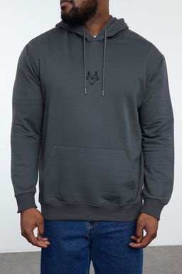 TRENDYOL MAN Buyuk Beden Indigo Regular/Normal Kesim Kapusonlu Ici Polarl? Sweatshirt TMNAW25AO00006 - Trendyolmilla фото 3