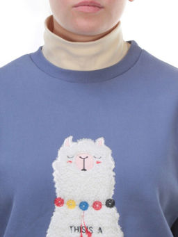 D-5627 Толстовка с высоким горлом (27% хлопок, 70% полиэстер, 3% вискоза)