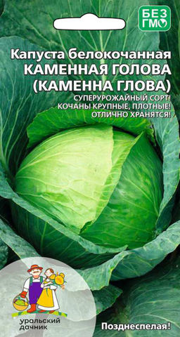 Капуста КАМЕННАЯ ГОЛОВА Одна из самых плотных капуст!