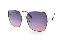 SISSI POLARIZED С ФУТЛЯРОМ 8156 C1 60-16-150