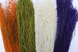 Сухоцвет декоративный (цена за пучок) в ассортименте - Больше подарков фото 2