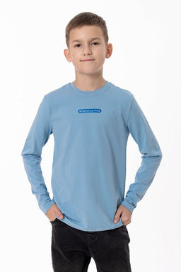 Футболка с длинным рукавом М225013Пг серо-голубой