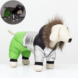 Комбинезон Пушок, размер 8 (ДС 23 см, ОГ 30, ОШ 22 см), зелёный