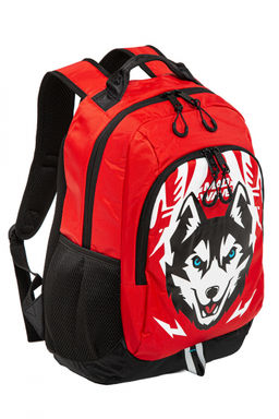 Рюкзаки и сумки Husky, Vent dry bag, Cosmetic bag, Coach transformer - Mad wave фото 6