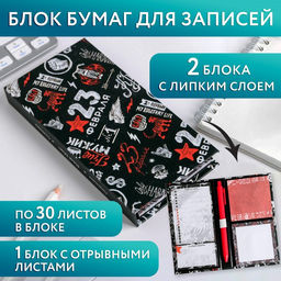 Подарочный набор, блок бумаг для записей, стикеры, ручка 23 Февраля