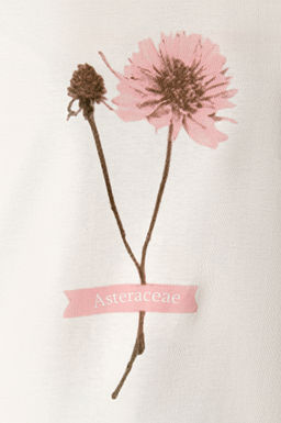 Арт. 31159 Футболка женская  44-52 (5 шт) Цвет:молочный