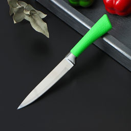 Нож кухонный Рич, лезвие 12,5 см, цвет зелёный