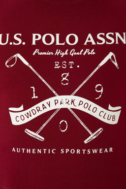 Мужской бордово-красный свитшот Неожиданная скидка в корзине - U.s. polo assn фото 7