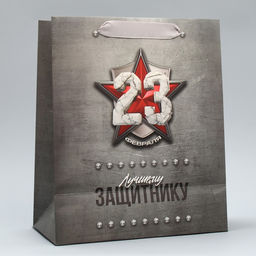 Цена за 2 шт. Пакет подарочный ламинированный, упаковка, С 23 февраля, MS 18?23?10 см